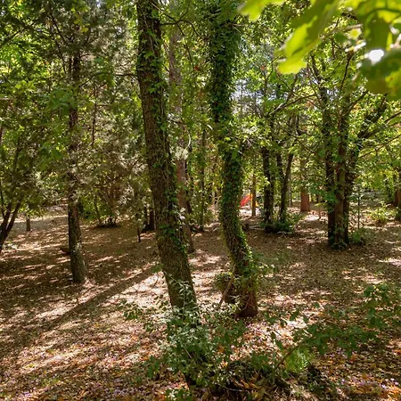 Ln Etna House-villa Ad Uso Esclusivo Villa *