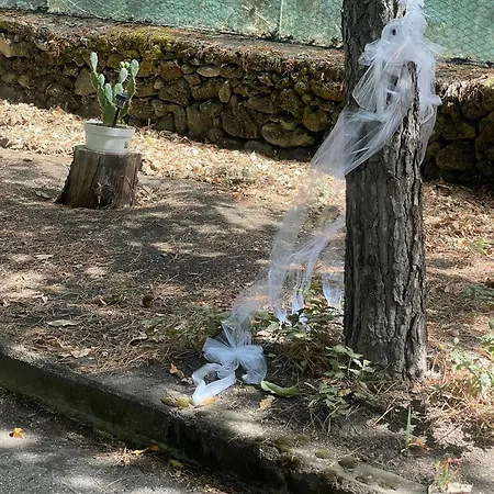 Ln Etna House-villa Ad Uso Esclusivo Villa Pedara